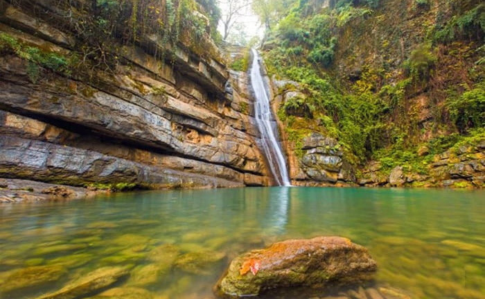 جنگل ابر شاهرود